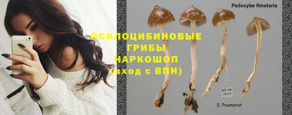 гашик Балахна